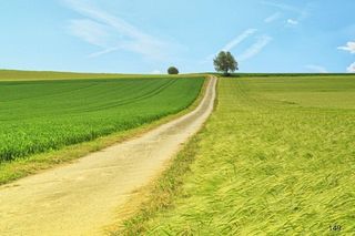 Nie uwierzysz, że te miejscowości istnieją! To najśmieszniejsze nazwy wsi