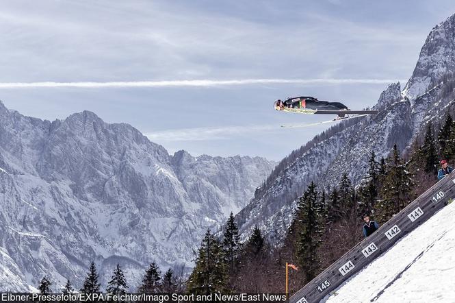 Kamil Stoch, skoki narciarskie