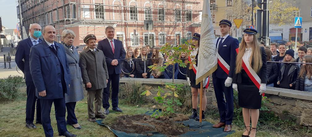 Zostawili listy potomnym i zasadzili drzewo. Święto Drzewa w Lublinie [GALERIA]