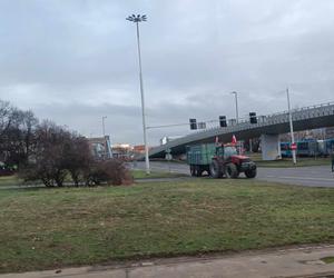 Protest rolników we Wrocławiu. Strajk wymyka się spod kontroli. Urząd Wojewódzki obrzucany jajkami