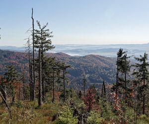 To miejsce w Małopolsce najpiękniej wygląda późną jesienią według AI. Ma status kultowego