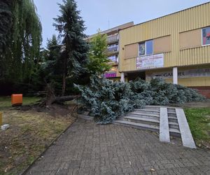 Burze w Przeworsku
