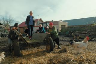 Miasto Wieś, odcinek 3. Andrzej nie mógł oderwać wzroku od Kasi