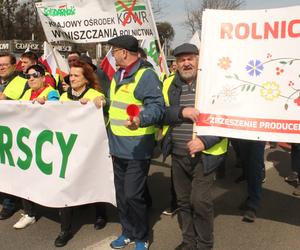 Rolnicy protestują w Gdańsku