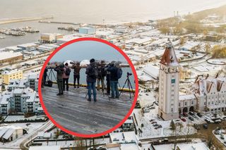 Fotografowie z całej Polski zjeżdżają w tą okolicę. Nietypowa mewa na Bałtyku, wszyscy chcą ją zobaczyć!