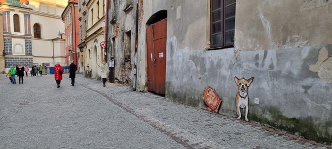 Antywojenna grafika pojawiła się na Starym Mieście w Lublinie