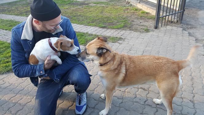 Zobaczcie Jankesa i Jimmiego w akcji. 