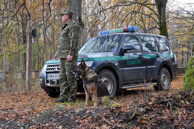 Psy pomagają straży granicznej na Warmii i Mazurach