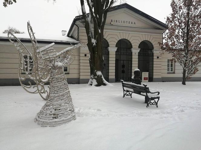 Zimowe klimaty w Siedlcach. Zobacz zdjęcia!