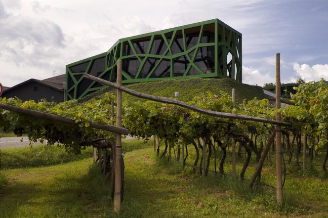 Współczesna architektura i nowe winnice. Cantina Tramin w Tyrolu 