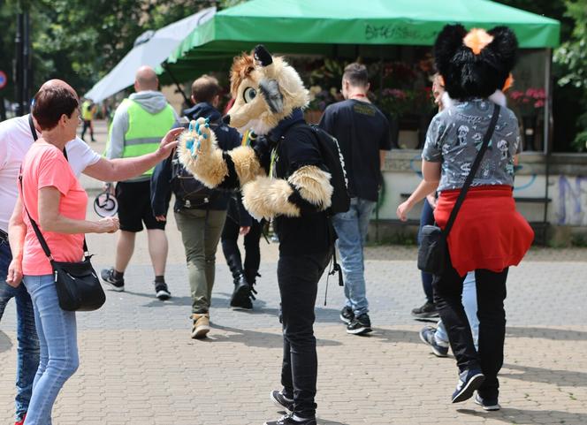 Marsz futrzaków w Lublinie. Tak wyglądał I Lubelski Fursuitwalk