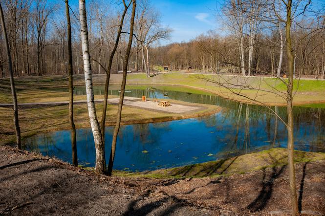 Park Tysiąclecia w Milowicach