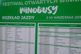 Zielona Góra: W Winobranie na winnice. Zawiozą Cię winobusy