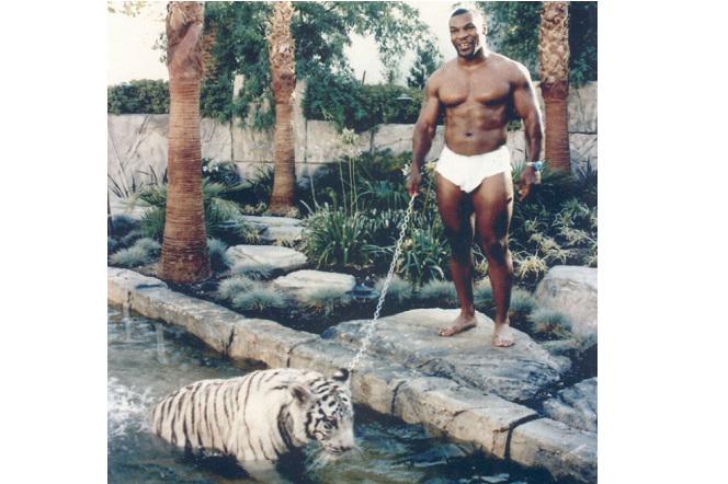 Mike Tyson z tygrysem bengalskim
