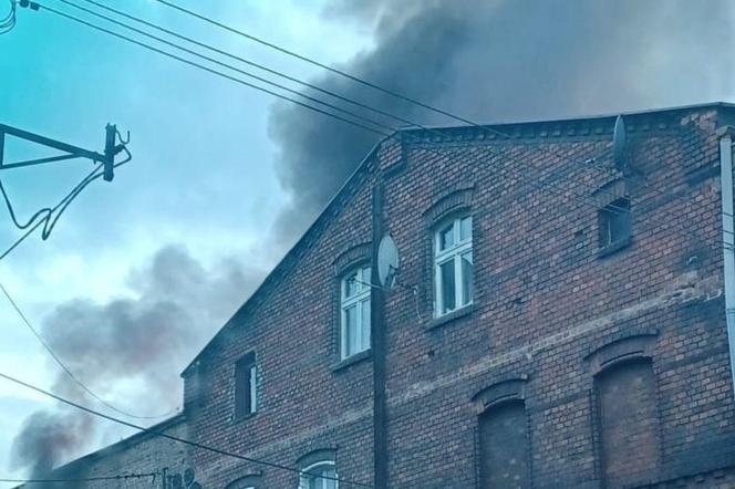 Wybuchł pożar w mieszkaniu w kamienicy przy ul. Oswobodzenia w Katowicach