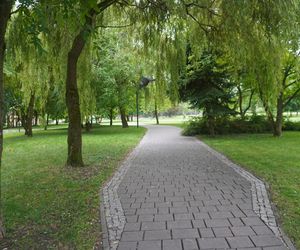 Park Zdrojowy w Busku