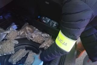 Płoccy policjanci zabezpieczyli 20 kilogramów narkotyków! 