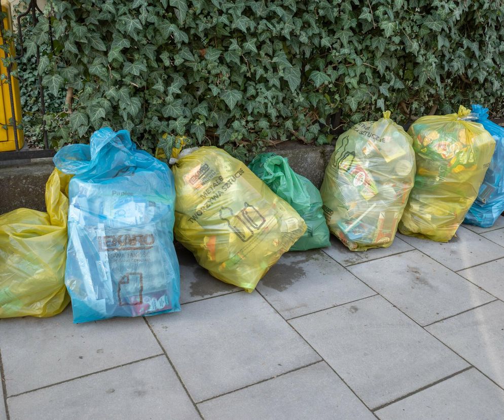 Nowe kolory worków na śmieci. Gminy wprowadziły zmiany w segregacji odpadów