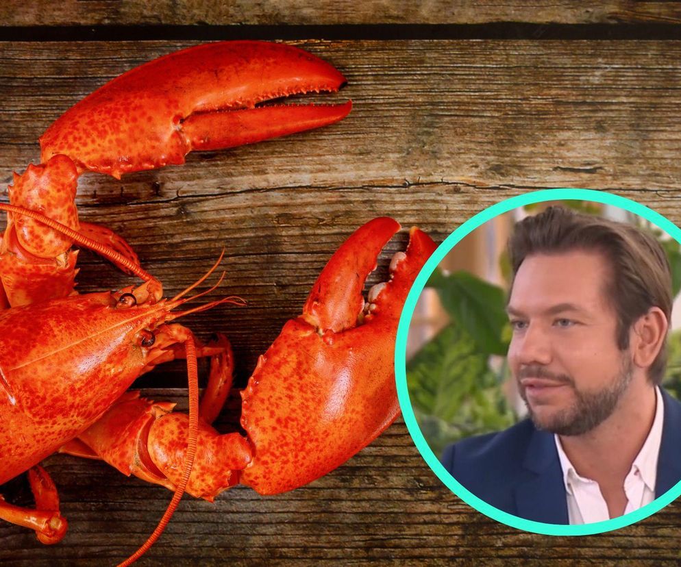 Homary nie umierają ze starości. Lekarz: Podpatrzymy naturę, będzie eliksir młodości