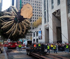 W Nowym Jorku stanęła choinka. Tłumy towarzyszyły jej transportowi