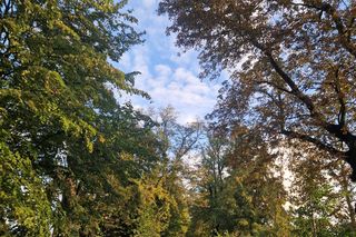 To miejsce jest 40 minut od Gdańska. Ma klimat niczym z Harrego Pottera!