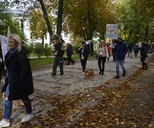 Wielki marsz adopciaków w Radomiu