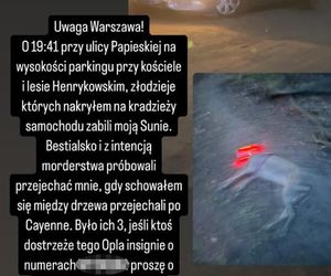 Przejechali mu psa oplem. Zabili moją Sunię