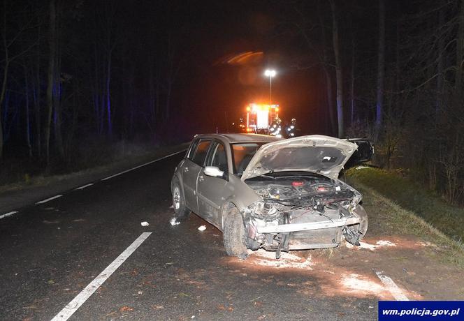 Na drodze wojewódzkiej nr 544 w miejscowości Gródki w gminie Płośnica doszło do zdarzenia drogowego