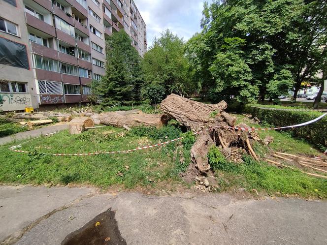 Wielkie drzewo runęło im na blok. „Widziałam, jak na mnie leci!”