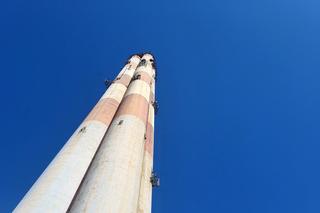 Sokoły z Lublina już zaobrączkowane, ale imion jeszcze nie znamy