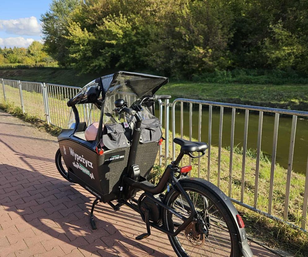 Nasz test rowerów cargo