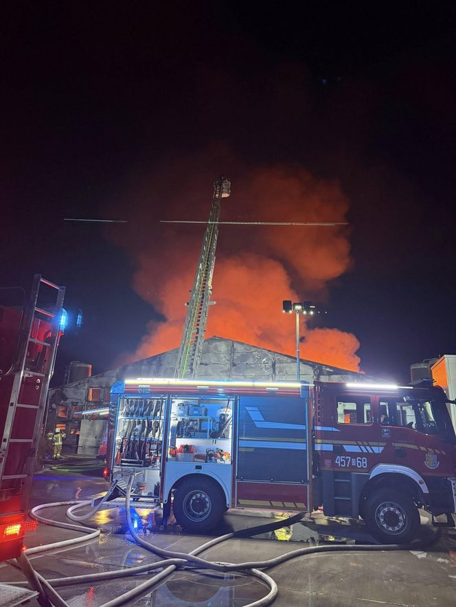 Ogromny pożar fermy drobiu w Fałkowicach. W ogniu mogło zginąć nawet 130 tysięcy kur