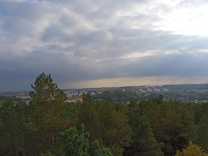 Kozacza Góra w Gdańsku. Mało osób wie o tej wieży widokowej w centrum miasta 