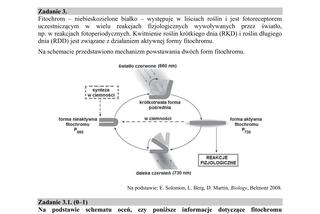 ARKUSZE CKE - Matura biologia 2019