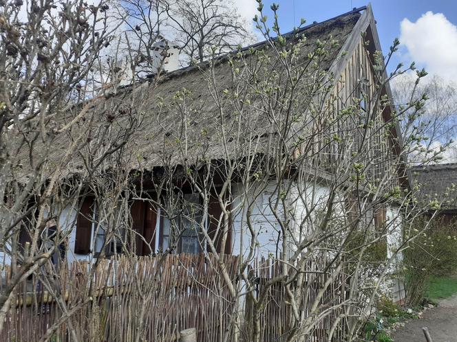 Łódzki Ogród Botaniczny obchodzi 50-lecie. To miejsce rozkwita i czeka na gości