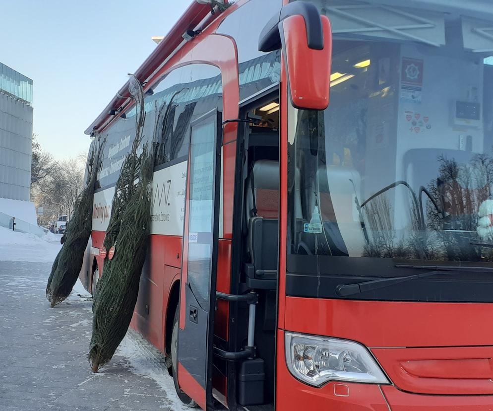 Można pomóc innym, a przy okazji otrzymać choinkę