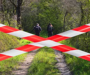  Bezwzględny zakaz wstępu do lasu aż do 15 czerwca