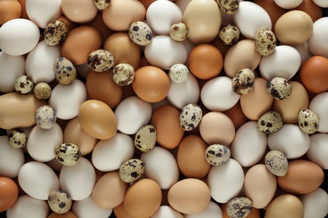 Ile jest cholesterolu w jajkach. Jak dużo jajek można zjeść w Wielkanoc bezpiecznie?