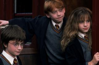 Szok! Znaleźli kopię Hermiony dziewczyna z USA jest sobowtórem Emmy Watson. Kari Lewis