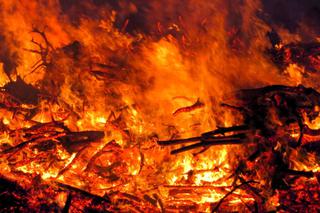 Pożary w Nadleśnictwie Mielec, przyczyny nieznane