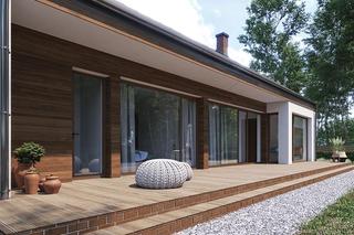 C365r Przejrzysty wariant XVI - wizualizacje, plany, rysunki