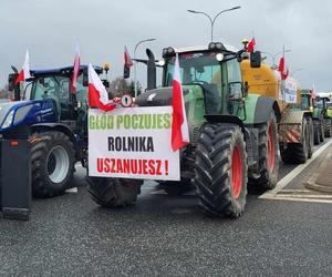 20 marca kolejne utrudnienia spowodowane protestem rolników. Kolumny ciągników przejadą przez DW nr 637 i DK nr 2