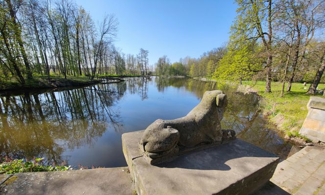 To najpiękniejszy park w Polsce. Warto przywitać tam wiosnę 