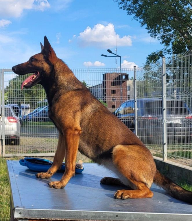 Drugie miejsce zajęła Reda