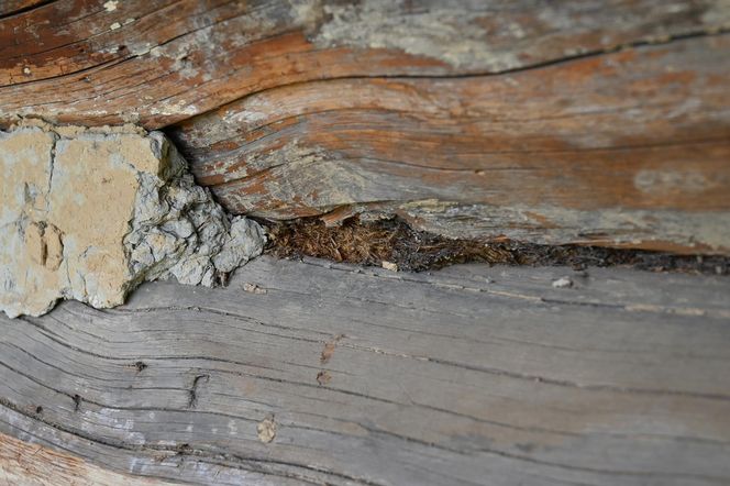 Zabytkowy dom kowala z kuźnią przechodzi remont - prace prowadzi Witold Podsiadło, spec nad spece w dziedzinie tradycyjnego budownictwa Dolnego Śląska.