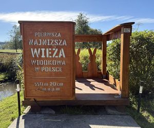 To najniższa wieża widokowa w Polsce. Ma 20 cm wysokości!