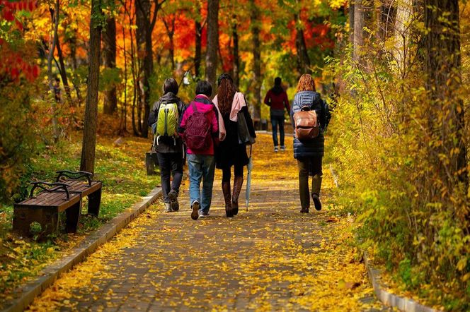 Zaskakujący zwrot w prognozach ucieszy Polaków. Pogoda daje ostatnie dni na długie, jesienne spacery