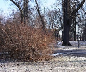 Zakaz wstępu do jednego z najstarszych parków w Lublinie. Teren został ogrodzony