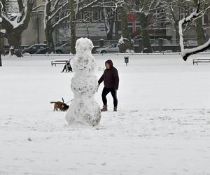 Śnieżny Szczecin 