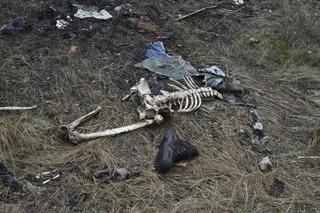 Mobilizacja w Rosji. Żołnierze rosyjscy